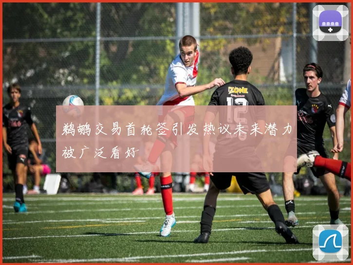 鹈鹕交易首轮签引发热议未来潜力被广泛看好