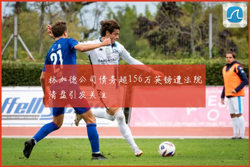 林加德公司债务超156万英镑遭法院清盘引发关注