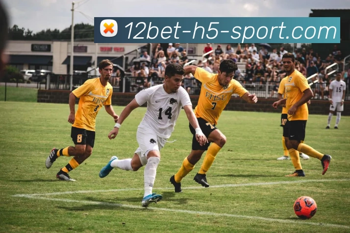 App Interface Preview